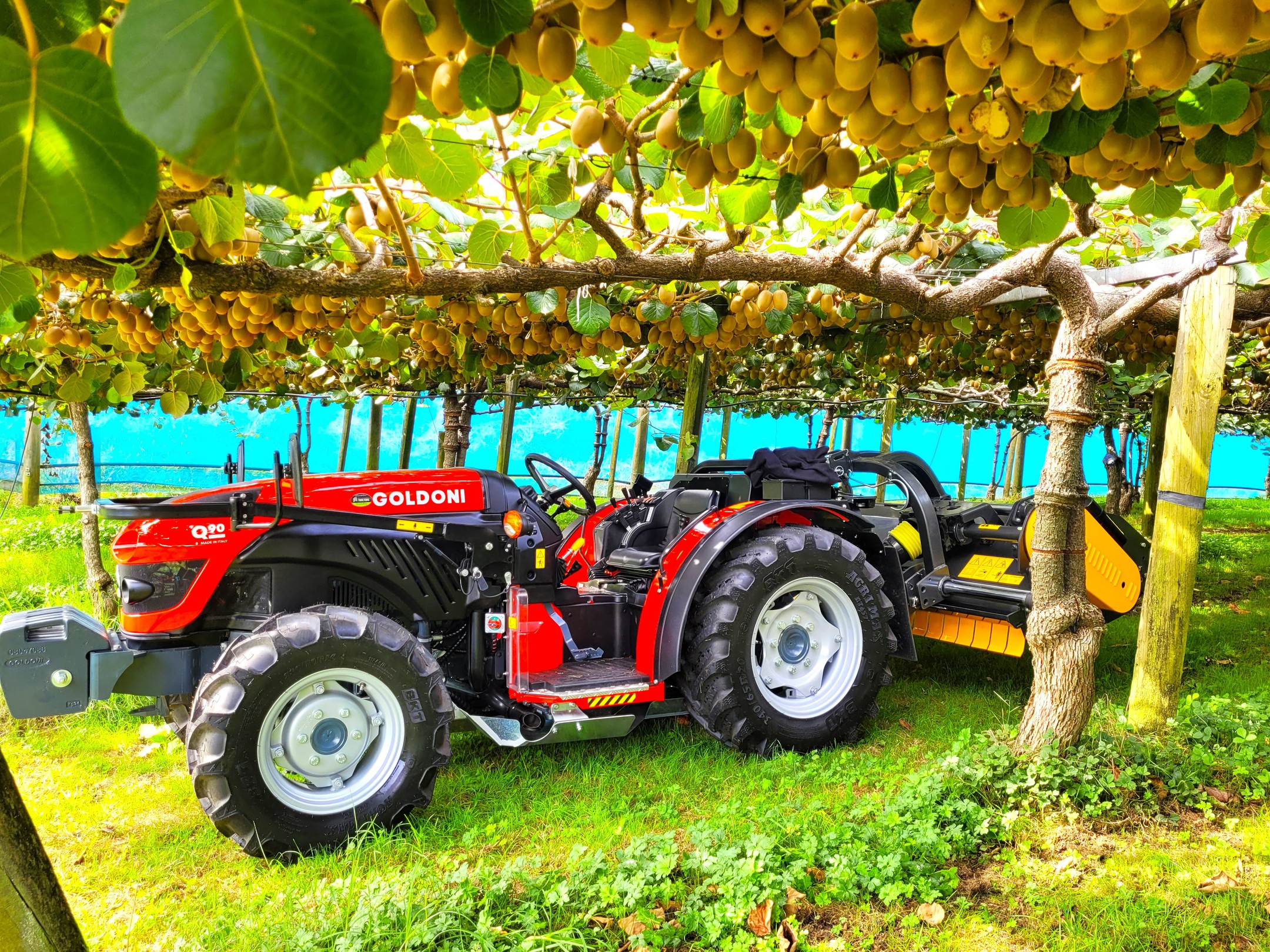 GOLDONI "Super Kiwi" Q Series Rops image 3
